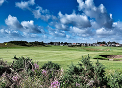 Golf Club